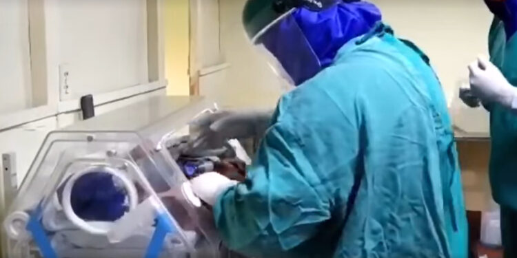 Huancayo: Mellizo que nació de madre con covid-19 murió por virus