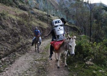 Huancavelica: Kipi el robot que viaja en burro para enseñar en el Vraem