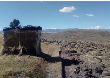 Jauja: Estudiante universitario construyó una choza en el cerro para acceder a clases virtuales