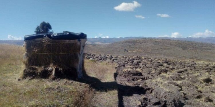 Jauja: Estudiante universitario construyó una choza en el cerro para acceder a clases virtuales