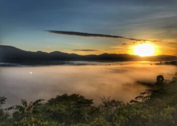 Voces del Bosque: la serie que promoverá la observación de vida silvestre y las historias de quienes se esfuerzan para conservarla