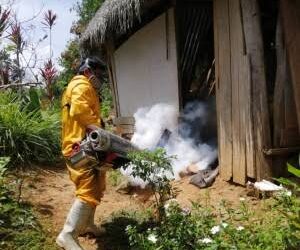 Casos de dengue subieron a 431 y ya cobró una víctima mortal