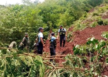 Satipo: Deslizamiento de tierra habría sepultado a todo una familia que trabajaba en cultivo