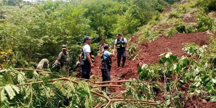 Satipo: Deslizamiento de tierra habría sepultado a todo una familia que trabajaba en cultivo