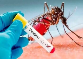 Junín: Tras declaratoria de Emergencia vigilarán instituciones educativas y casos de gravedad por dengue