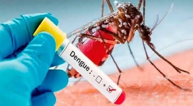 Junín: Tras declaratoria de Emergencia vigilarán instituciones educativas y casos de gravedad por dengue