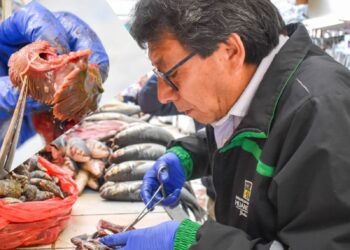 Huancayo: Tras inspección encuentran lombrices anisakis en pescados que eran vendidos en mercado