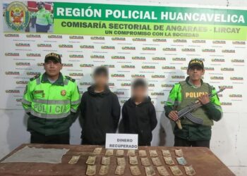 Huancavelica: Madre entrega a sus dos hijos a PNP tras robar dinero  de su vecina