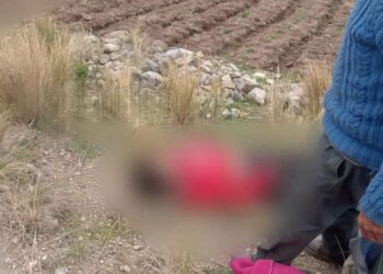 Jauja: Rayo mata a niña  de 9 años  en Apata