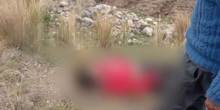 Jauja: Rayo mata a niña de 9 años en Apata