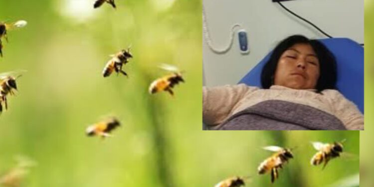 Jauja: Madre arriesgó su vida para salvar a su hija de ataque de abejas