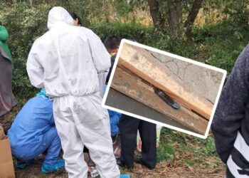 Encuentran cuchillo que habría sido usado en crimen de joven madre en Muquiyauyo