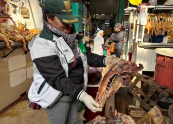 Encuentran 13 kilos de carne podrida en el mercado Modelo de Huancayo