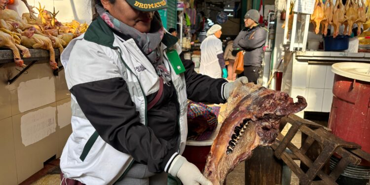 Encuentran 13 kilos de carne podrida en el mercado Modelo de Huancayo