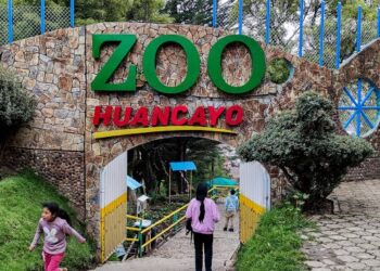 Zoológico de Huancayo enfrenta riesgo de clausura por falta de plan de manejo y deficiencias en infraestructura