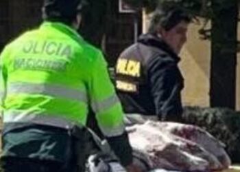 Detienen a enfermera por la misteriosa muerte de sus dos hijos en Huamalí
