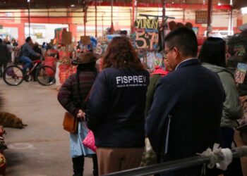 Mercado Mayorista de Huancayo en riesgo de cierre por graves deficiencias sanitarias