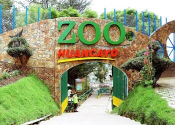Zoológico de Huancayo dejaría de existir: proyectan convertirlo en albergue de fauna silvestre