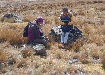Censistas reportadas como desaparecidas en Ricrán fueron halladas sanas y salvas