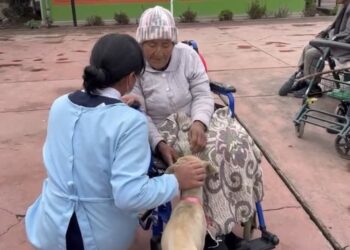 DEL ABANDONO A UN HOGAR DIGNO: ADULTA MAYOR Y SU PERRITA “PEQUE” ENCUENTRAN NUEVA OPORTUNIDAD