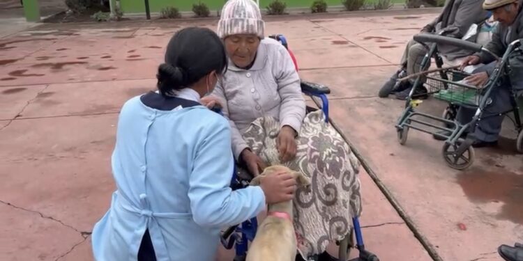 DEL ABANDONO A UN HOGAR DIGNO: ADULTA MAYOR Y SU PERRITA “PEQUE” ENCUENTRAN NUEVA OPORTUNIDAD