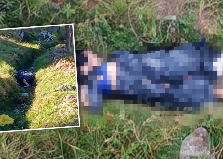 JOVEN DE 18 AÑOS ES HALLADA SIN VIDA EN CANAL DE REGADÍO TRAS ASISTIR A FIESTA EN MILUCHACA
